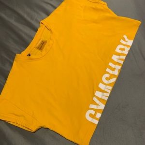 Gymshark Fraction Crop Top